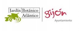 Jba - Gijón